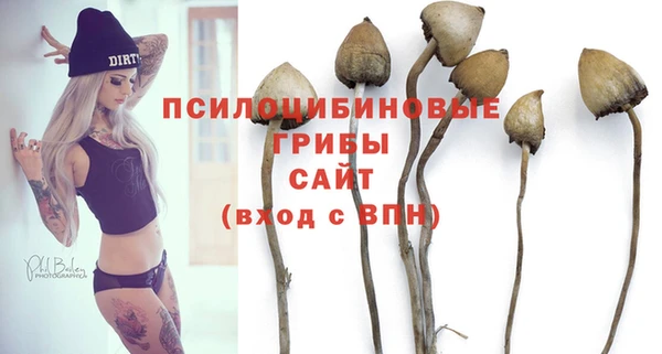 таблы Кодинск
