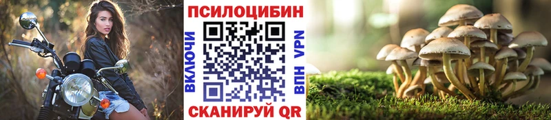 Галлюциногенные грибы Psilocybine cubensis  Серпухов 